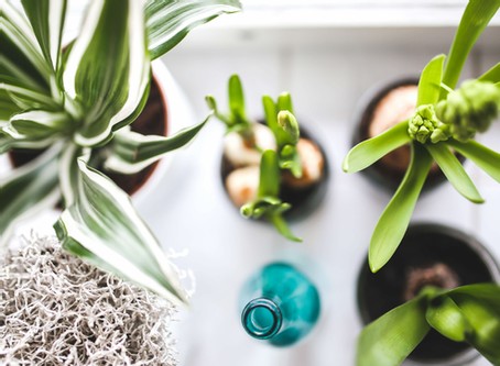 Grow Your Blog Community